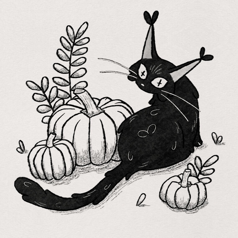 Pumpkin
