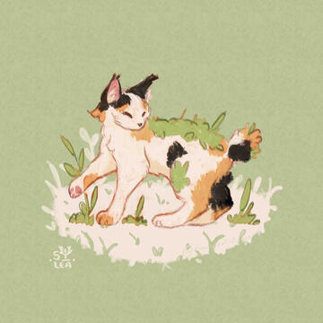 Bobtail