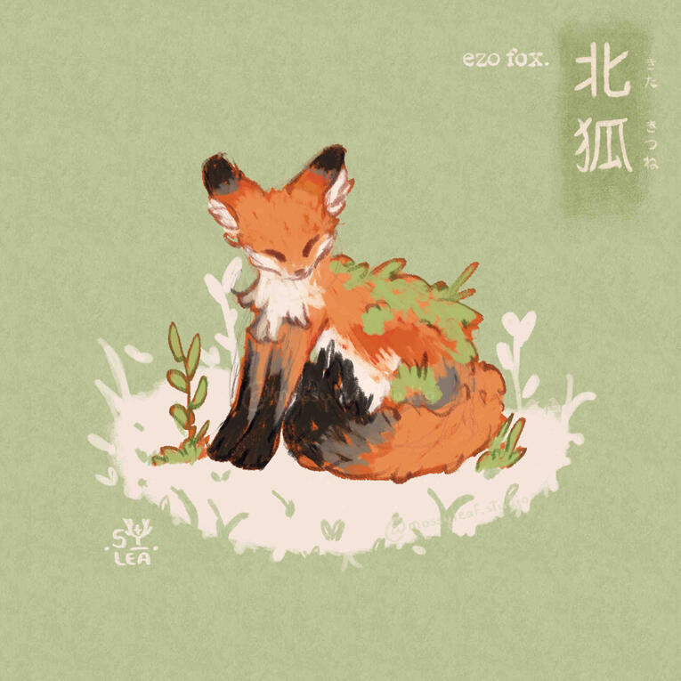 Fox